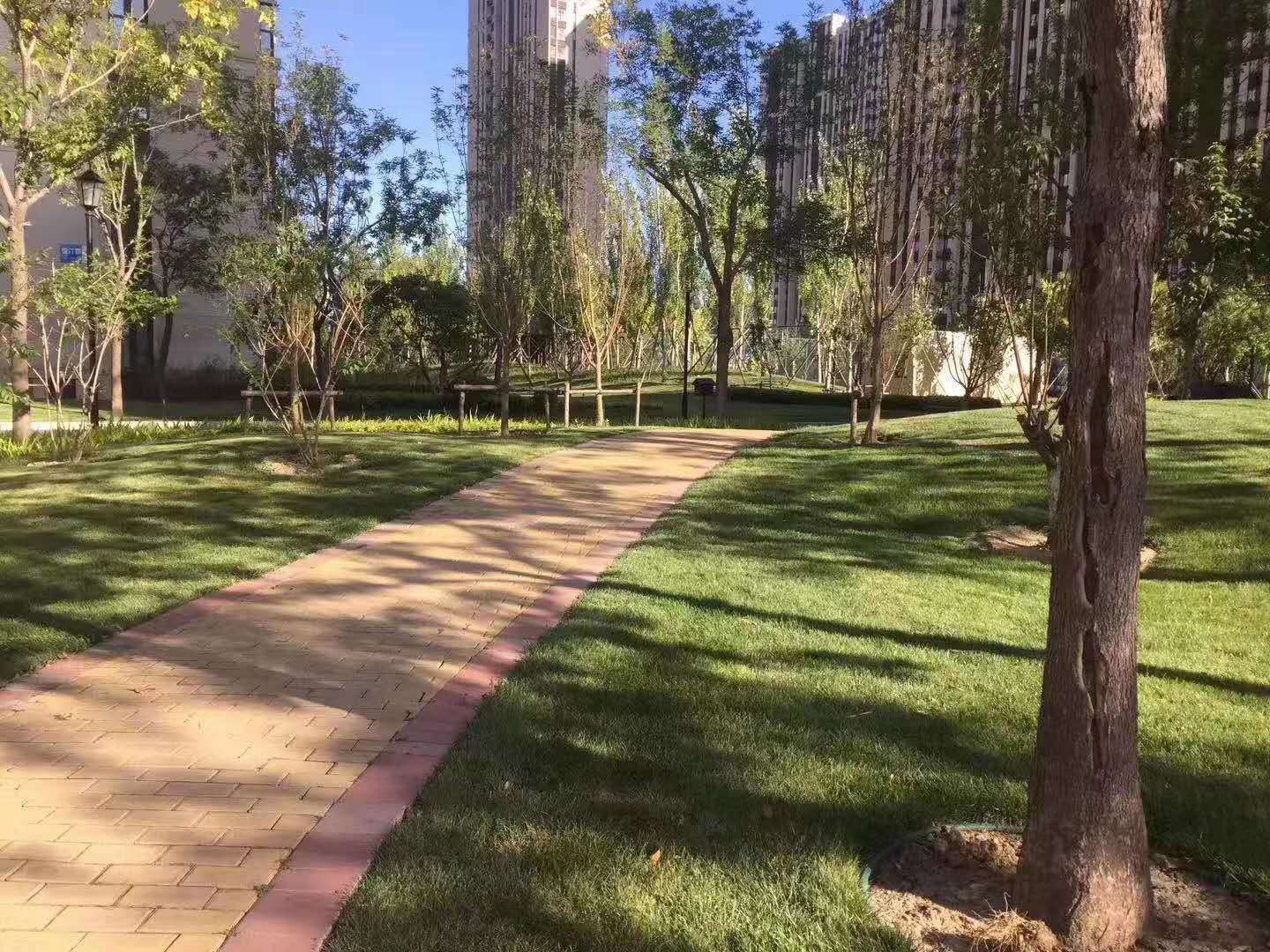 天地新城房子好不好开发商口碑怎样居住感受如何